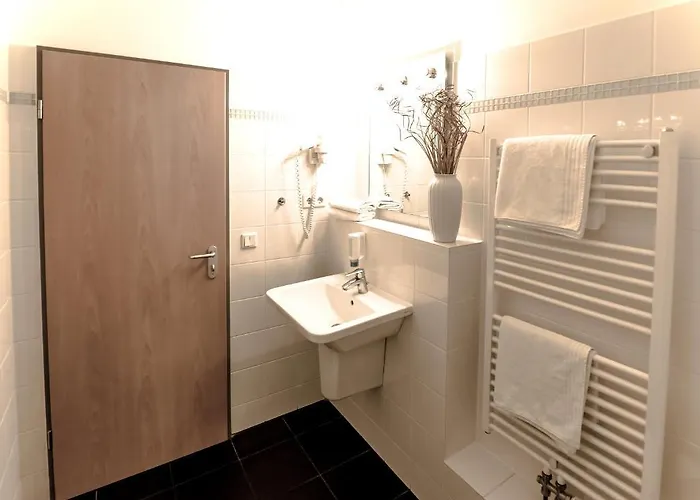 ホテル フレミッシャー ホフ 3*