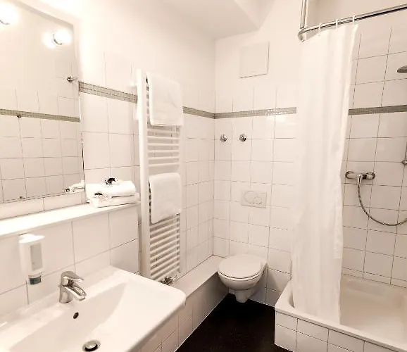 フレミッシャー ホフ 3*